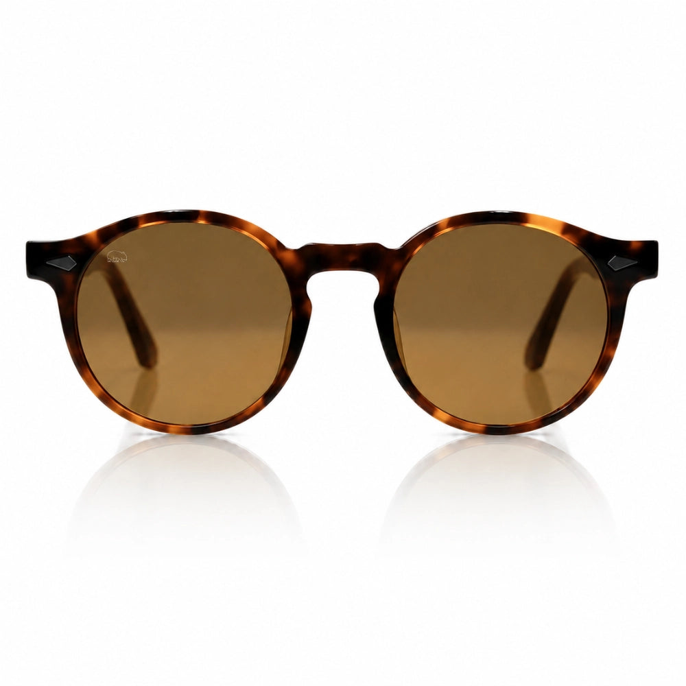 Round sunglasses with a brown tortoiseshell acetate frame and matching brown tinted lenses, shown against a clean white background with a soft reflection below.